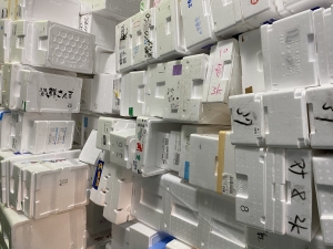 発泡スチロール魚箱青果箱