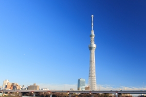 Tokyo,Sky,Tree