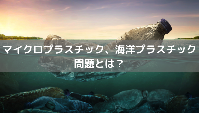 マイクロプラスチック、海洋プラスチック問題とは？