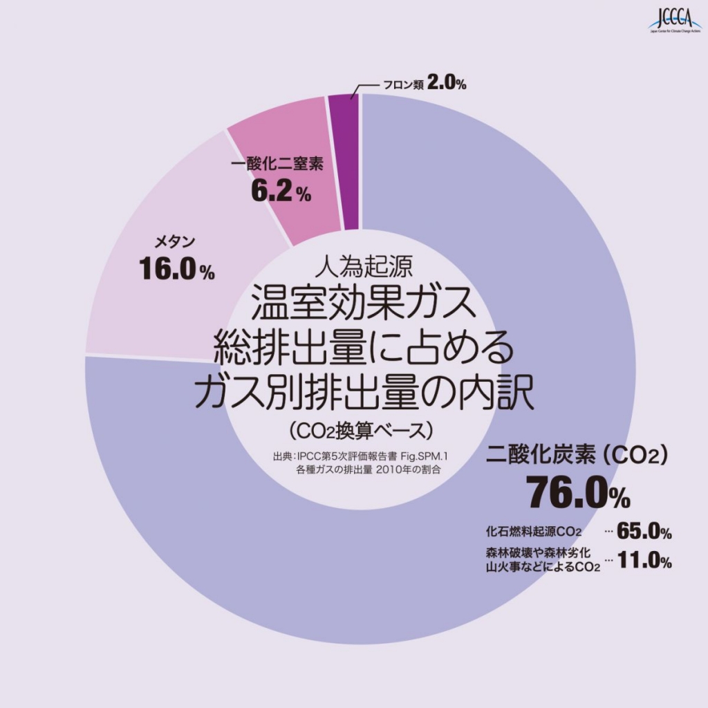 温室効果ガス総排出量に占めるガス別排出量の内訳