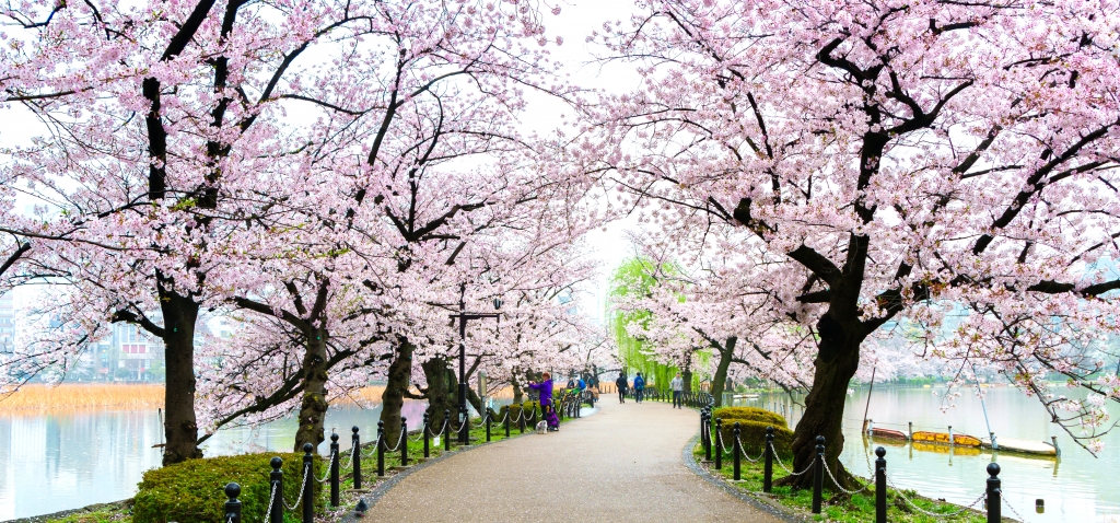 上野公園