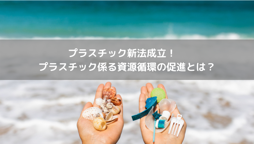 プラスチック新法成立！プラスチック係る資源循環の促進とは？